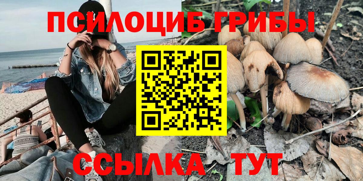 Галлюциногенные грибы Cubensis  Вход с VPN  Спасск-Дальний 